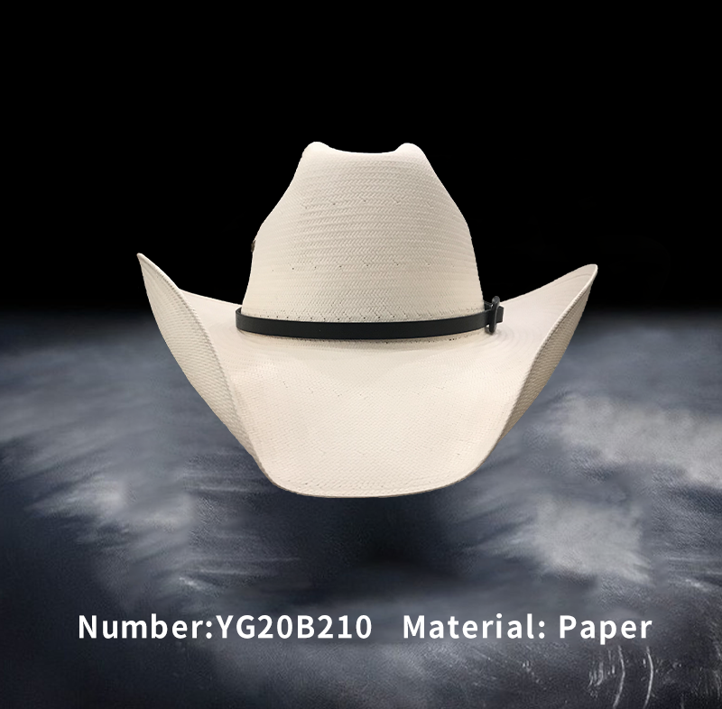 纸帽(YG20B210)